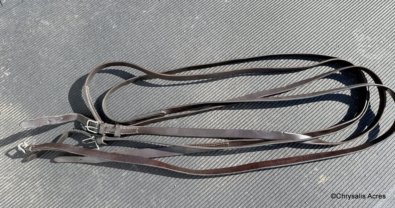 Leather Mini Reins