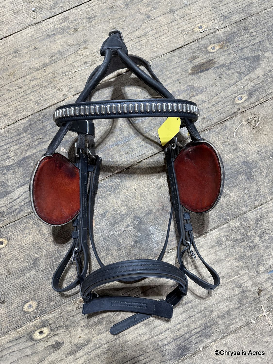 Orig Camptown Harness - Horse