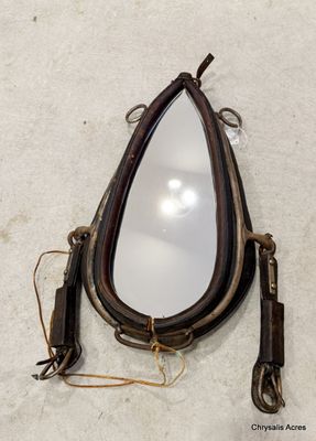 Antique Collar Mirror