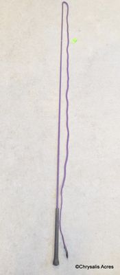Purple Lunge Whip 64"