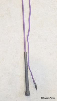 Purple Lunge Whip 64"