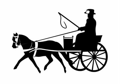 Carriage Driving Mini