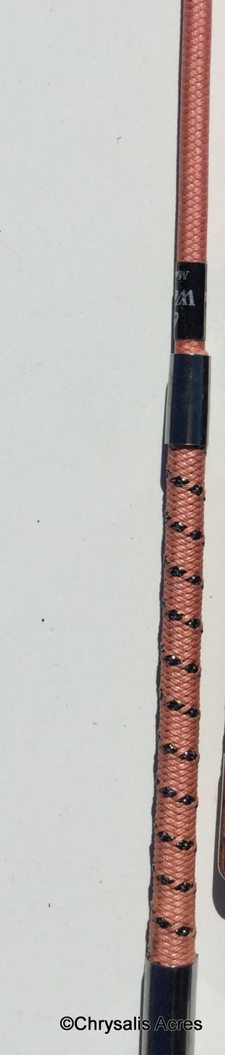 In Hand or Dressage Whip