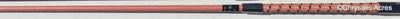 In Hand or Dressage Whip
