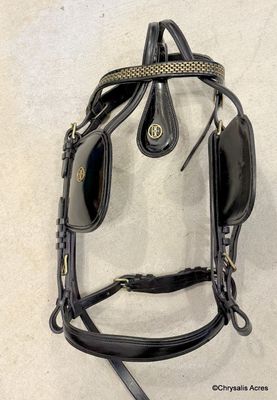 Freedman Presentation Harness