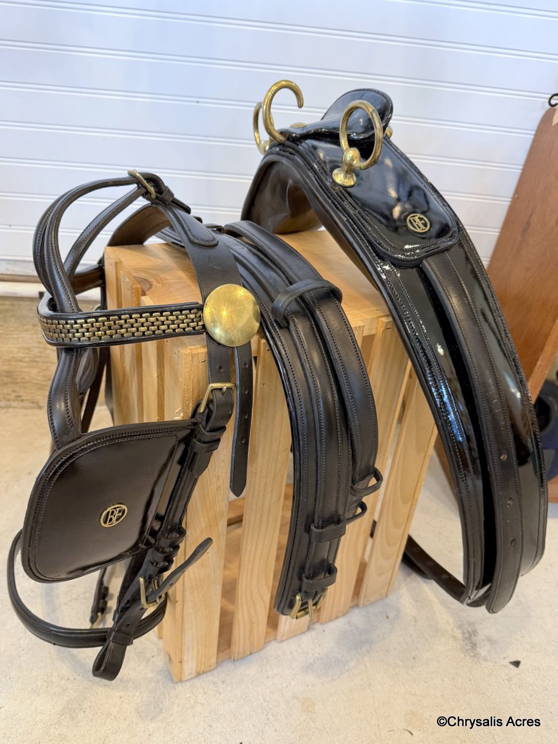 Freedman Presentation Harness