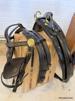 Freedman Presentation Harness