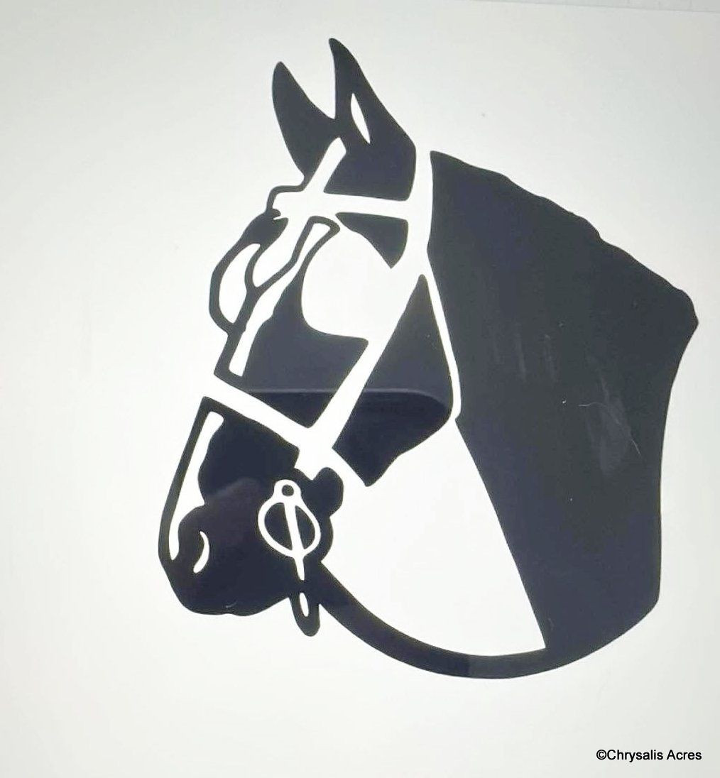 Reflective Decal Horse with Blaze