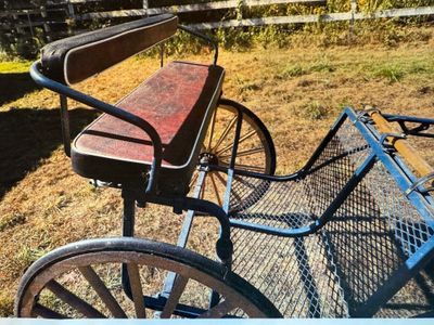 EZ Entry Cart