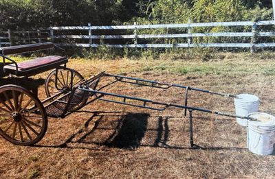 EZ Entry Cart