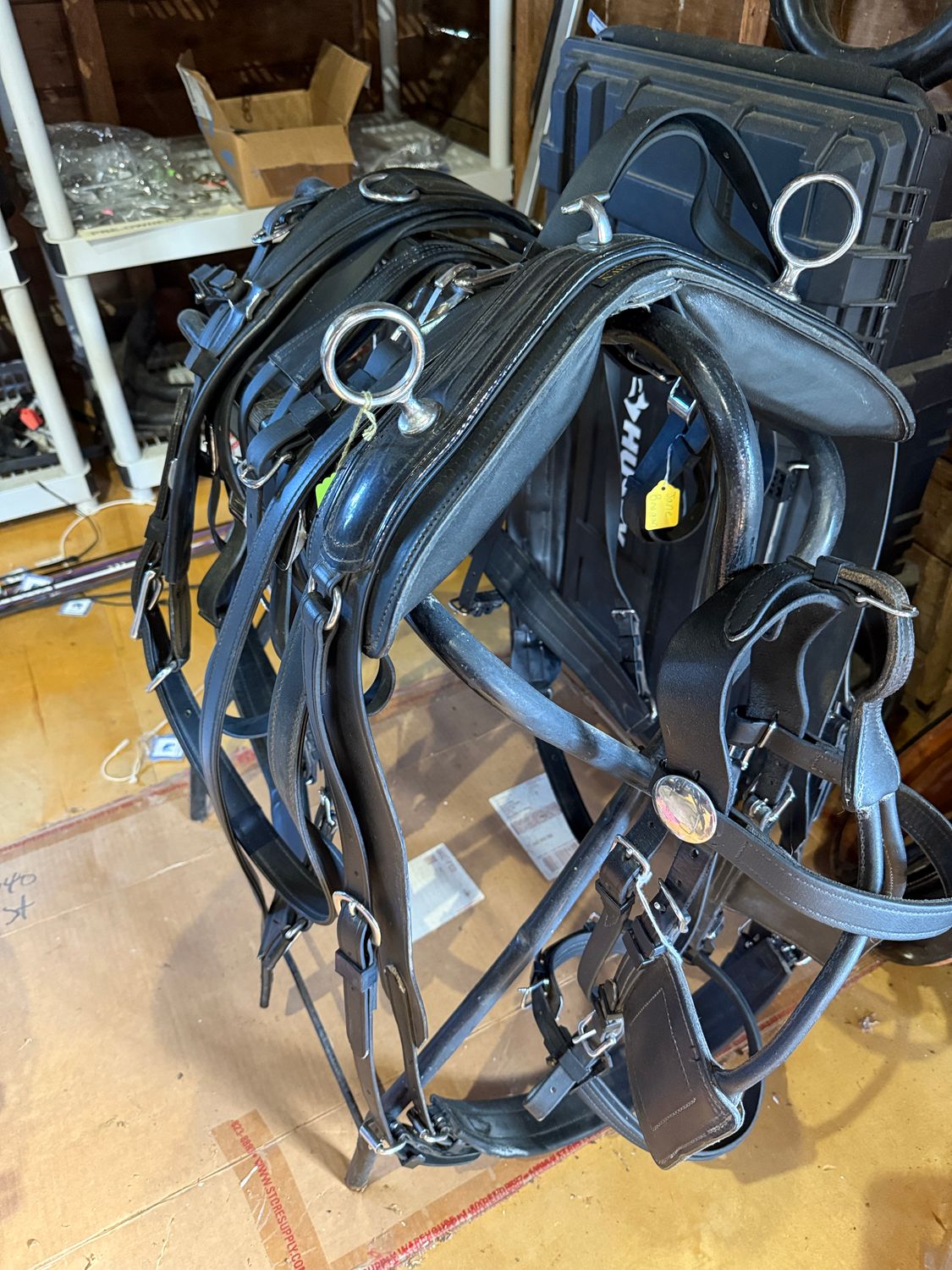 Camptown Harness - WB