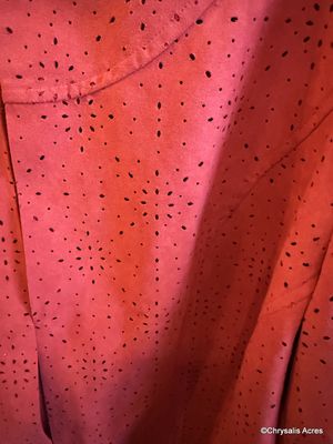 Red Eyelet Jacket 1X