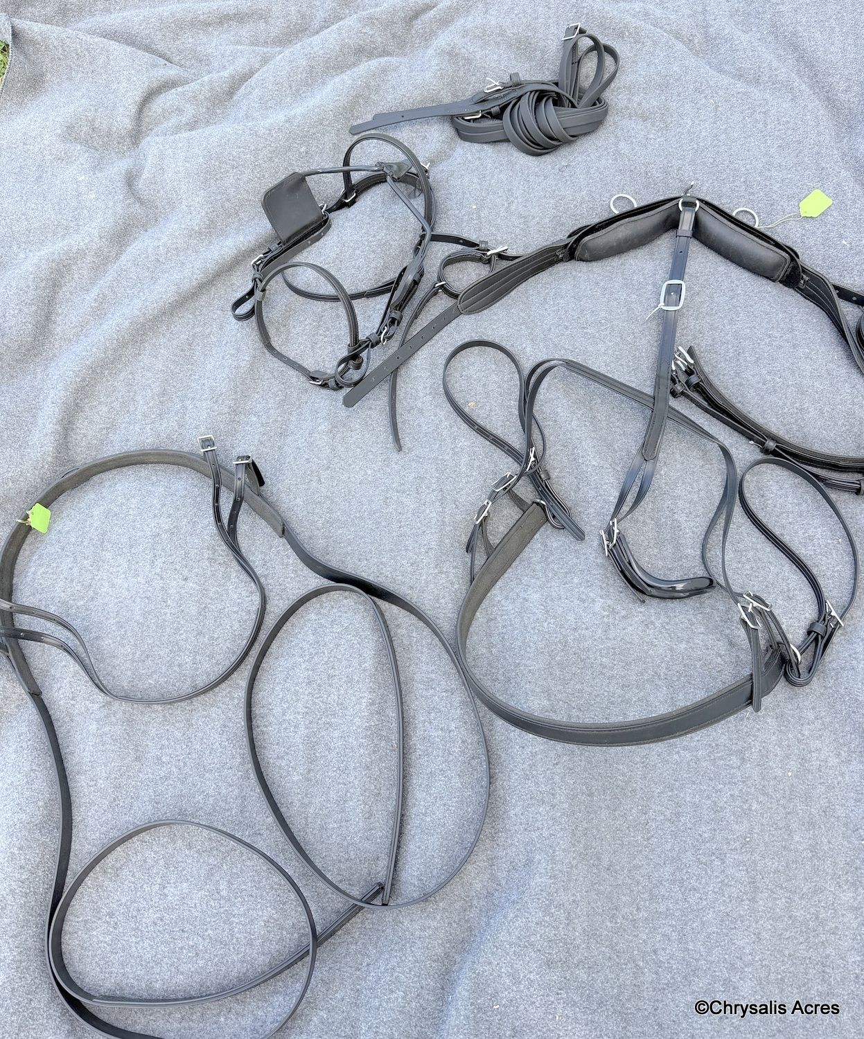 Biothane Starter Harness - Mini B