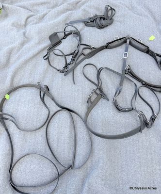 Biothane Starter Harness - Mini B
