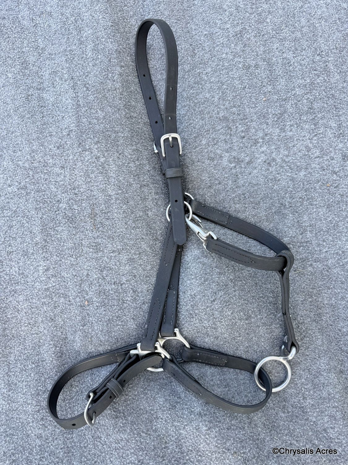 Biothane Nose Buckle Halter