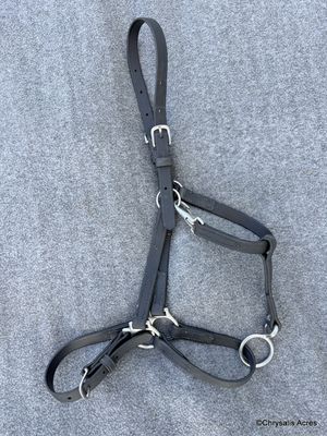 Biothane Nose Buckle Halter