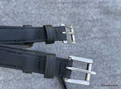 Biothane Hold Backs Horse