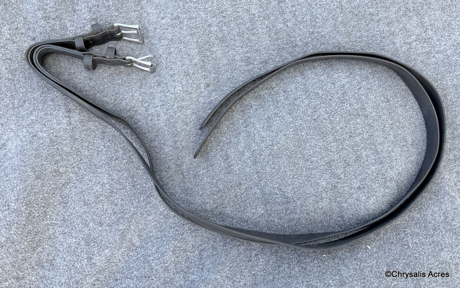 Biothane Hold Backs Horse