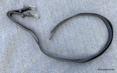 Biothane Hold Backs Horse
