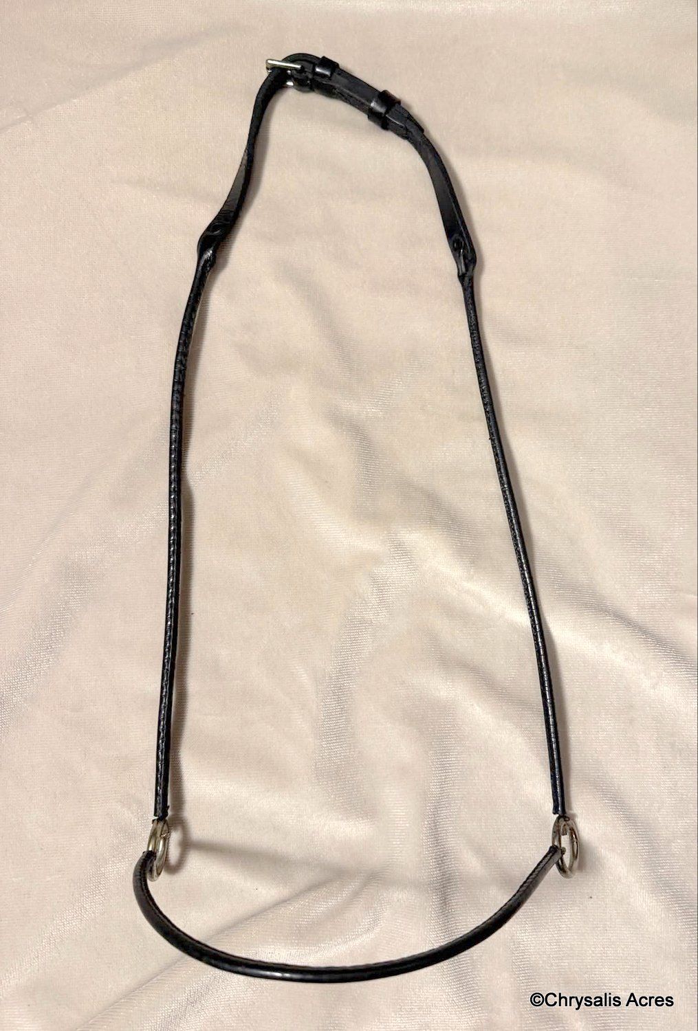 Arabian Cable Show Halter