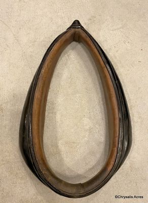 Leather Collar 20"