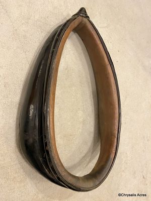 Leather Collar 20"