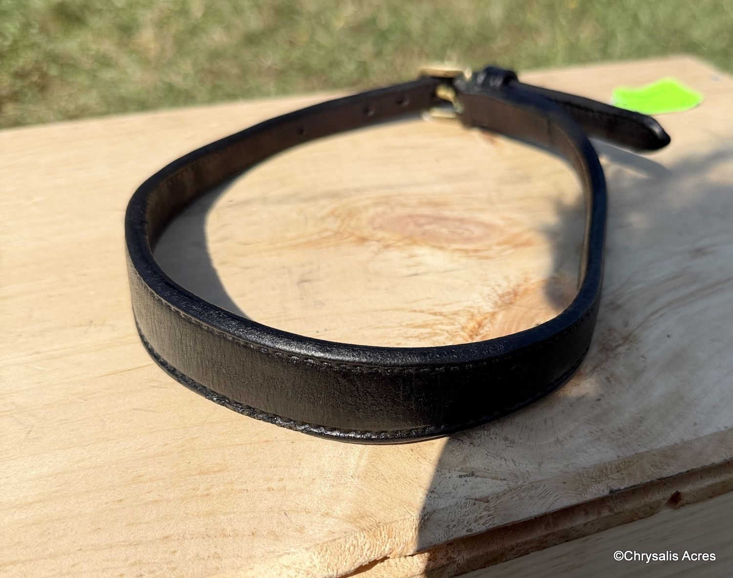 Leather Noseband - Cob