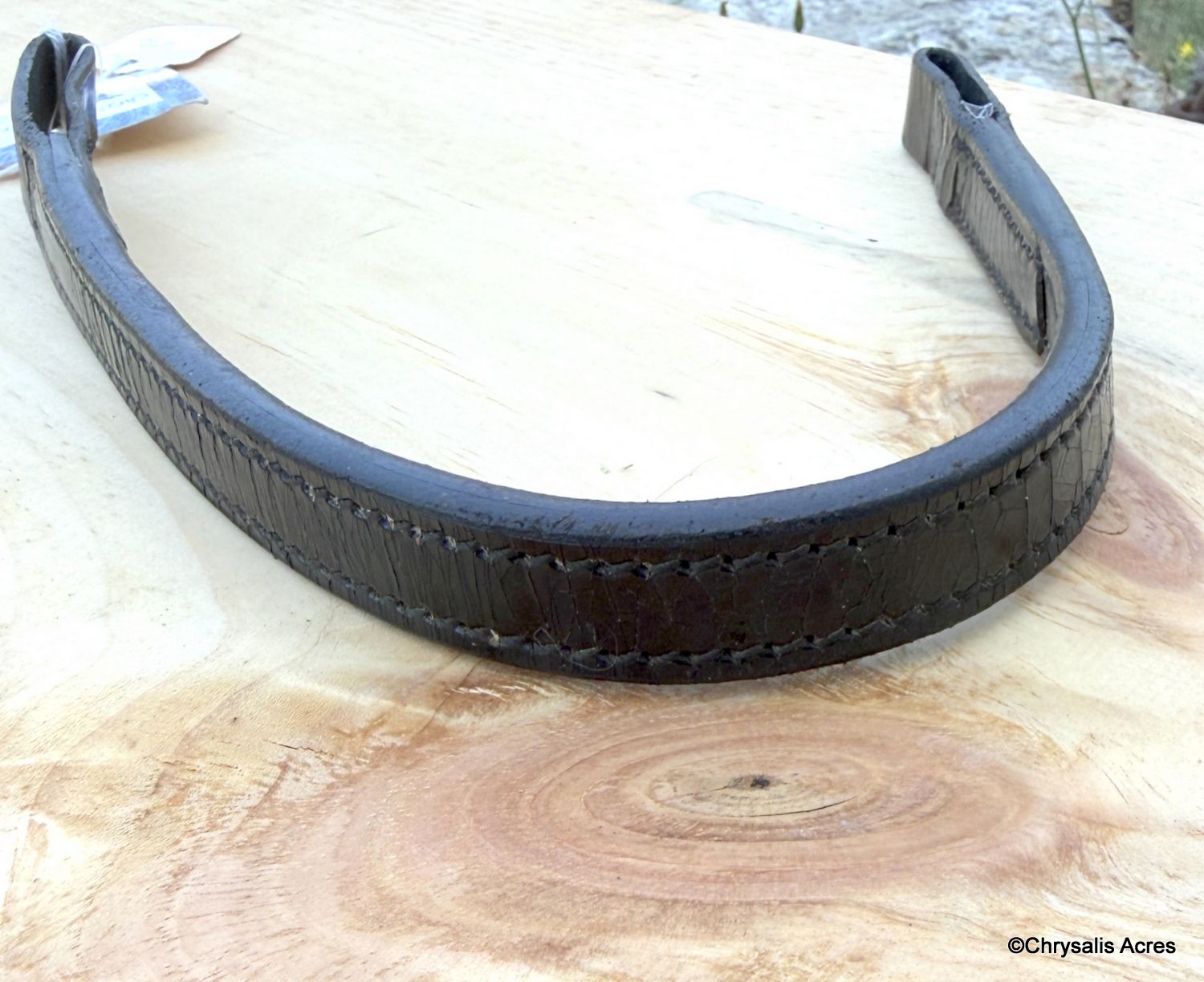 Leather Browband - Cob