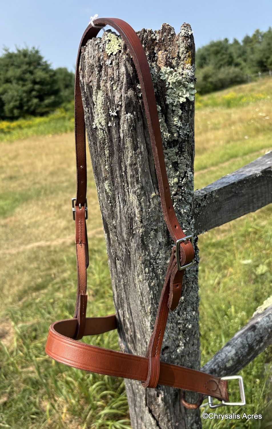 Russet Cavesson Noseband Cob