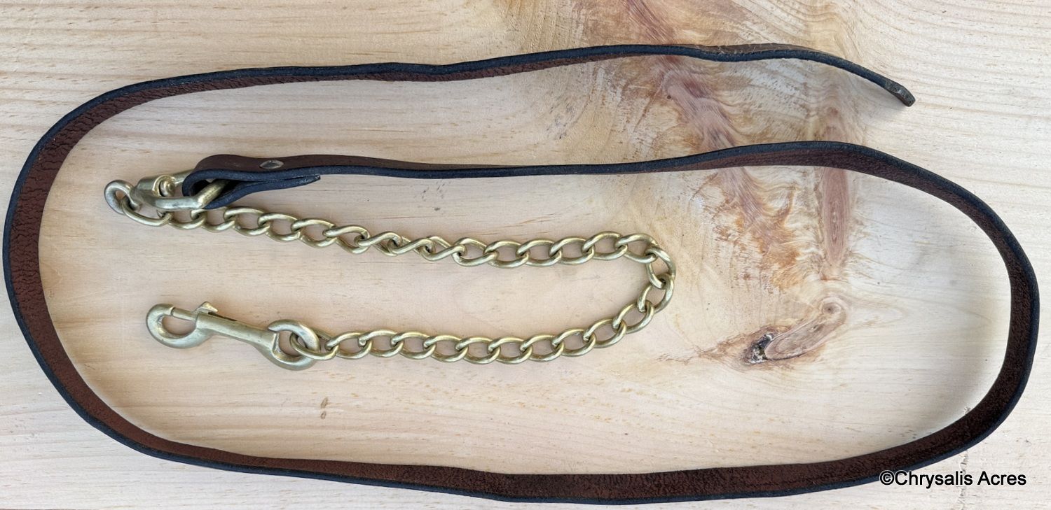 Leather Lead with Brass Chain