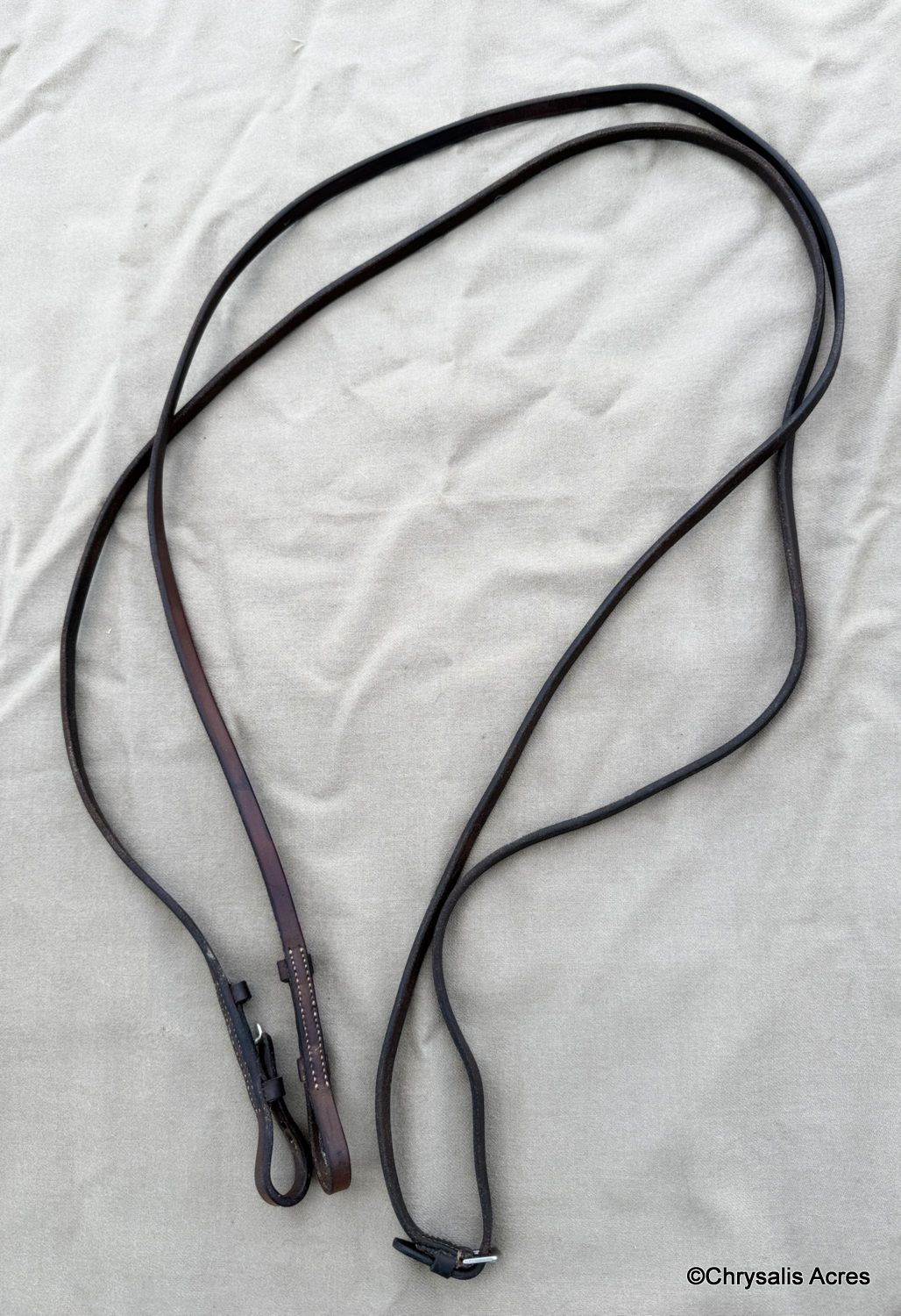 Curb Rein with Buckle