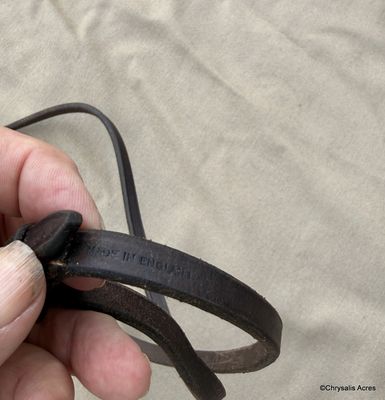 Curb Rein with Buckle