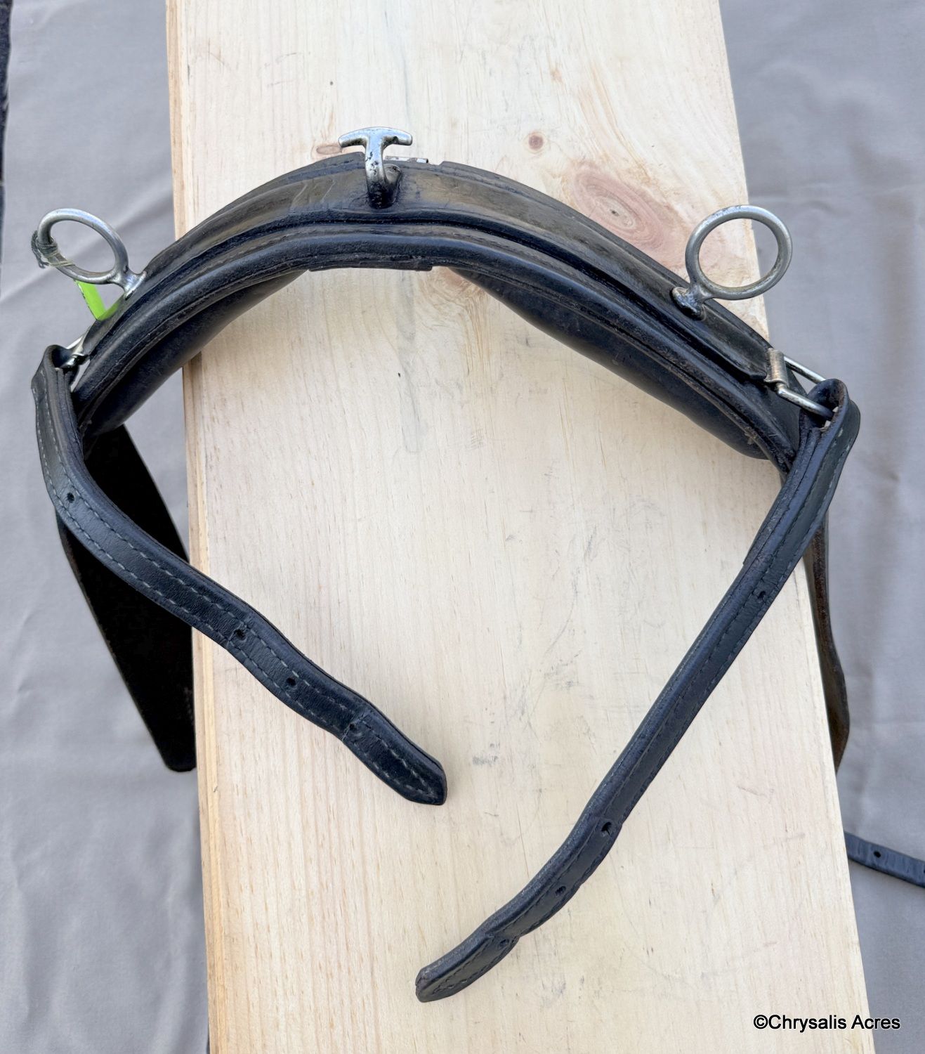 Training Condition Saddle-Cob