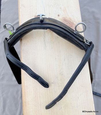 Training Condition Saddle-Cob