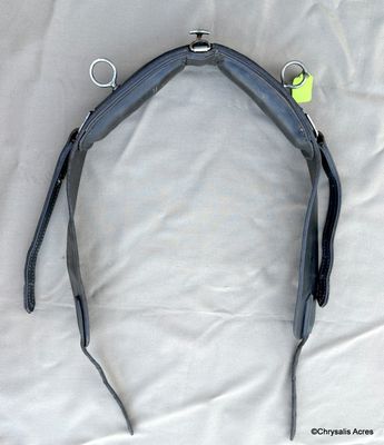 Training Condition Saddle-Cob