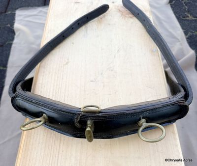 Leather Saddle- Training Cond.