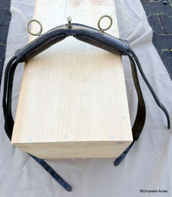 Leather Saddle- Training Cond.