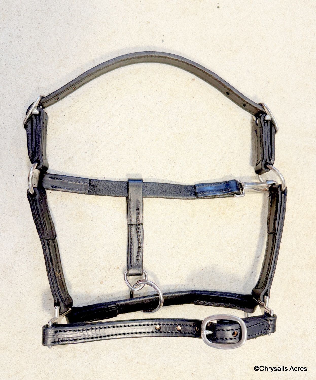 Leather Nose Buckle Halter