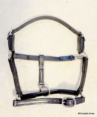 Leather Nose Buckle Halter