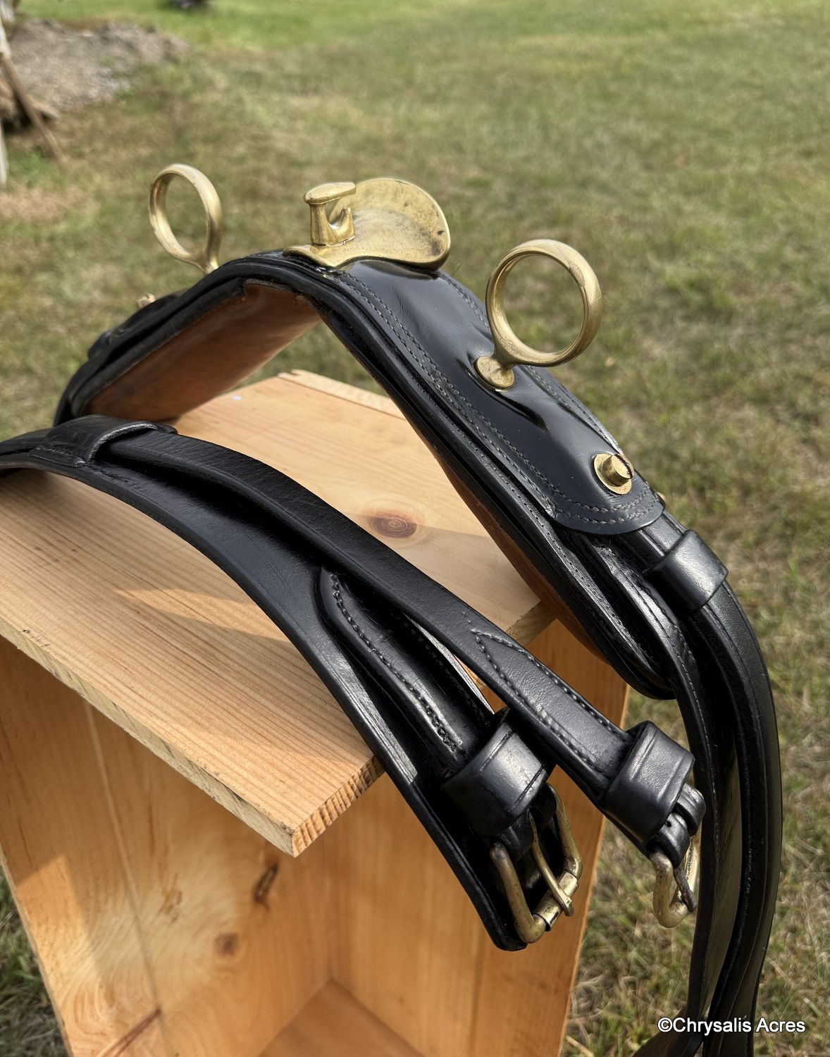 Pleasure Harness Horse Black Brass