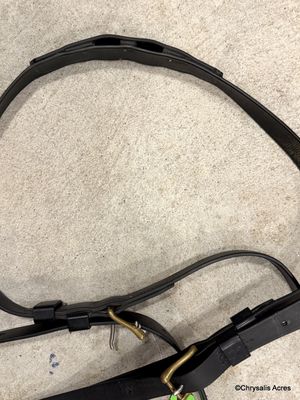Biothane Kicking Strap