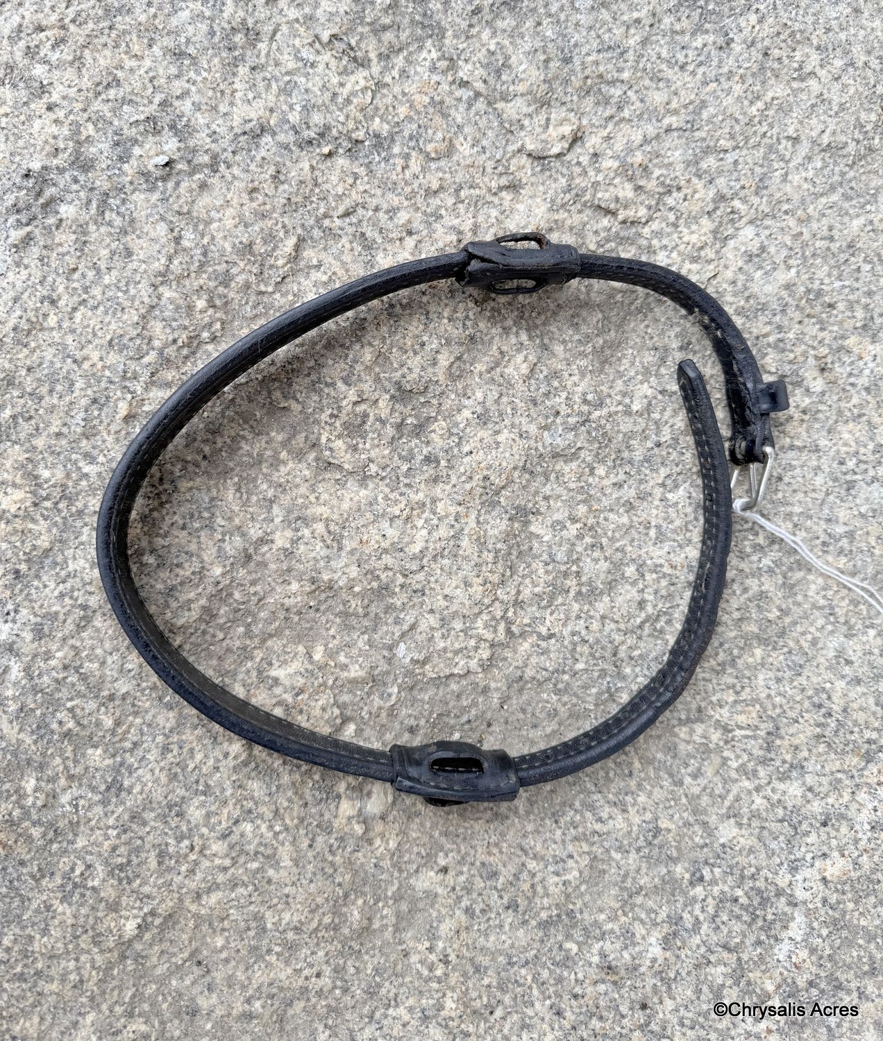 Leather Noseband -  Cob
