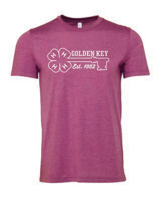 Golden Key- Heather Soft Style Tee