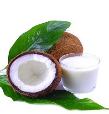 Kefir de Leite de Coco ou Vegetal (sem lactose)