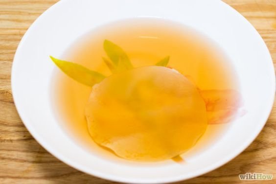 Kombucha do Tibet JUN Tea Fração para iniciar Cultivo