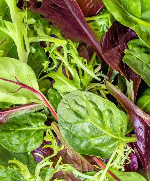 s Salads/Insalate