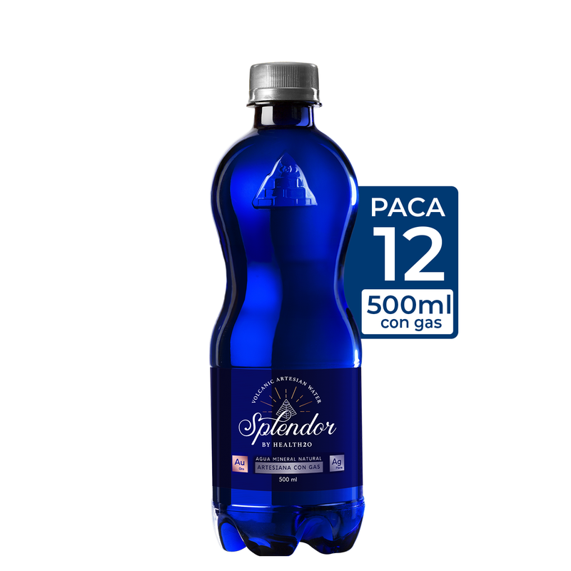 Pack x 12 Un. 500 ml con Gas.