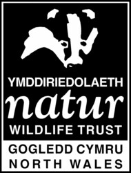 NWWT Trading Ltd