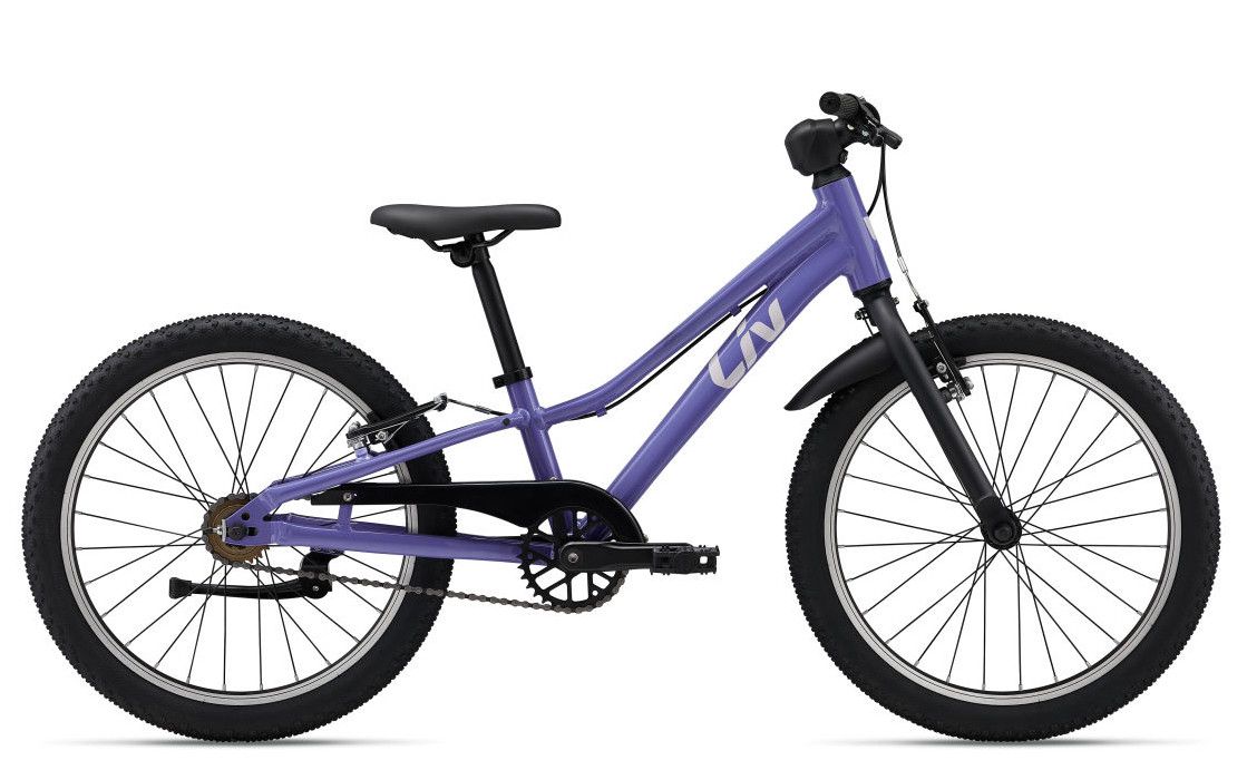 Tempt 20 SS, Color: Dusted Peri