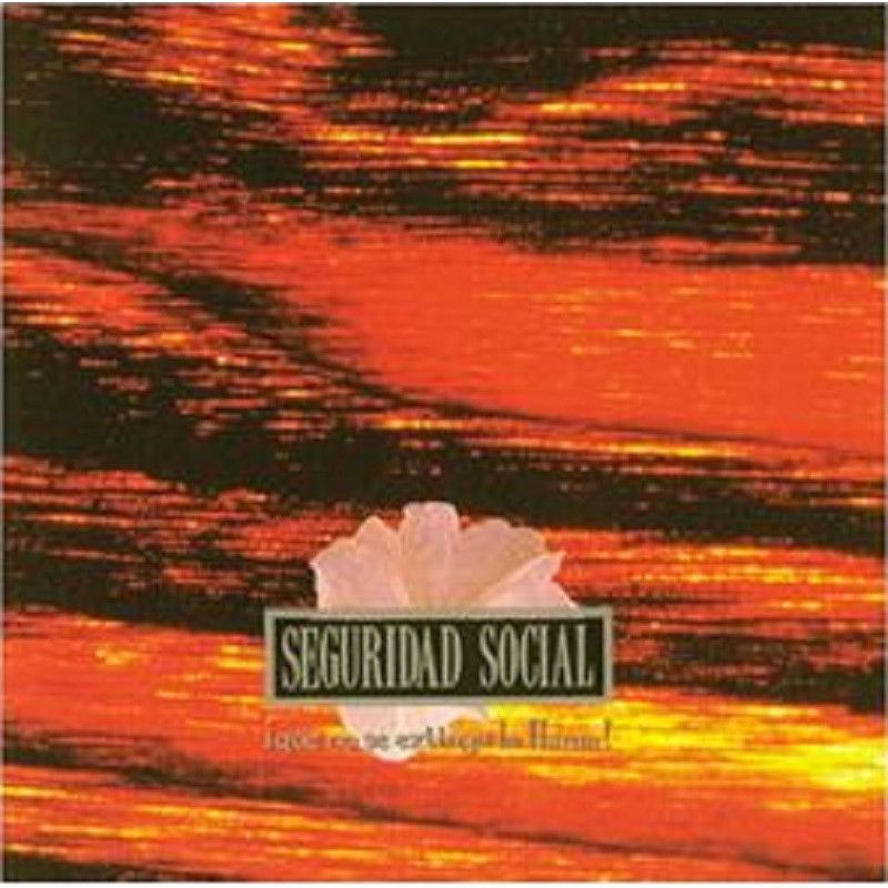 SEGURIDAD SOCIAL- ¡Que no se extinga la llama! SEGURIDAD SOCIAL- ¡Que no se extinga la llama!